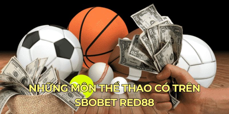 Những môn thể thao có trên Sbobet Red88